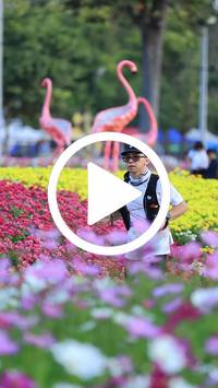 BIB:  <button type="button" onclick="openModal(27583121)" class="btn btn-primary btn-sm float-right" data-toggle="modal" data-target=".modal-high-quality">
                <i class="fa fa-download"></i> Download
                </button>